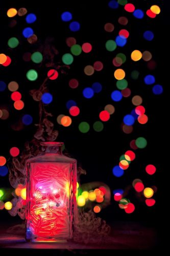 Photo gagnante du concours : multicolore