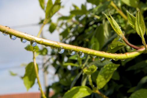 photo gagnante exæquo Philippe. P  