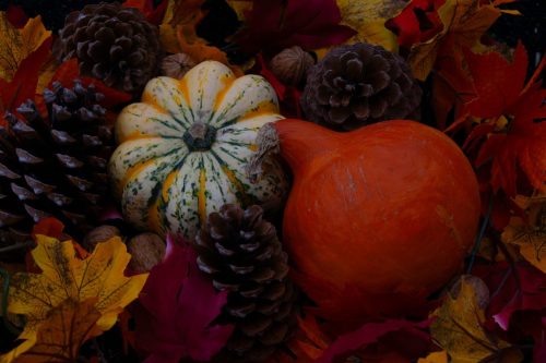 Laetitia 1ère exæquo